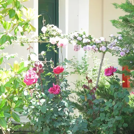 Liogerma Appartement Tsoukaládhes